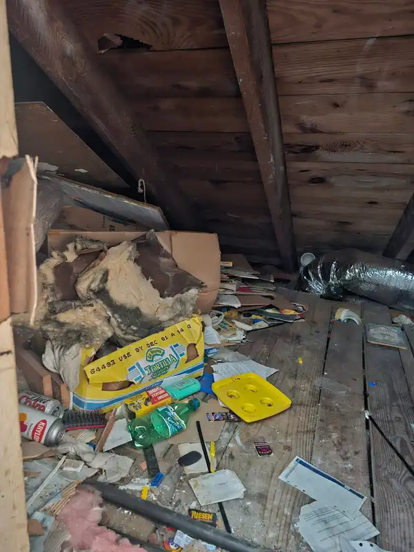 Boxes, bags and loose debris on the floor beneath a low attic roof