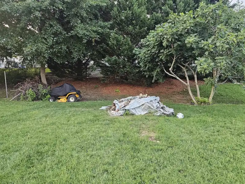 The same fenced yard with the playset removed