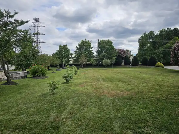 The same open lawn with the playset removed